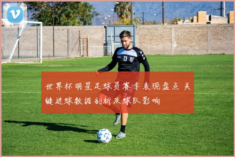 世界杯明星足球员赛季表现盘点 关键进球数据剖析及球队影响