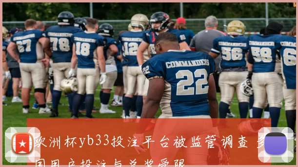 欧洲杯yb33投注平台被监管调查 多国用户投注与兑奖受限