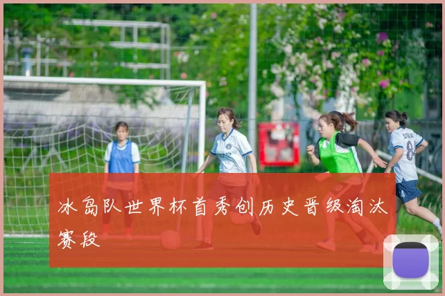 冰岛队世界杯首秀创历史晋级淘汰赛段